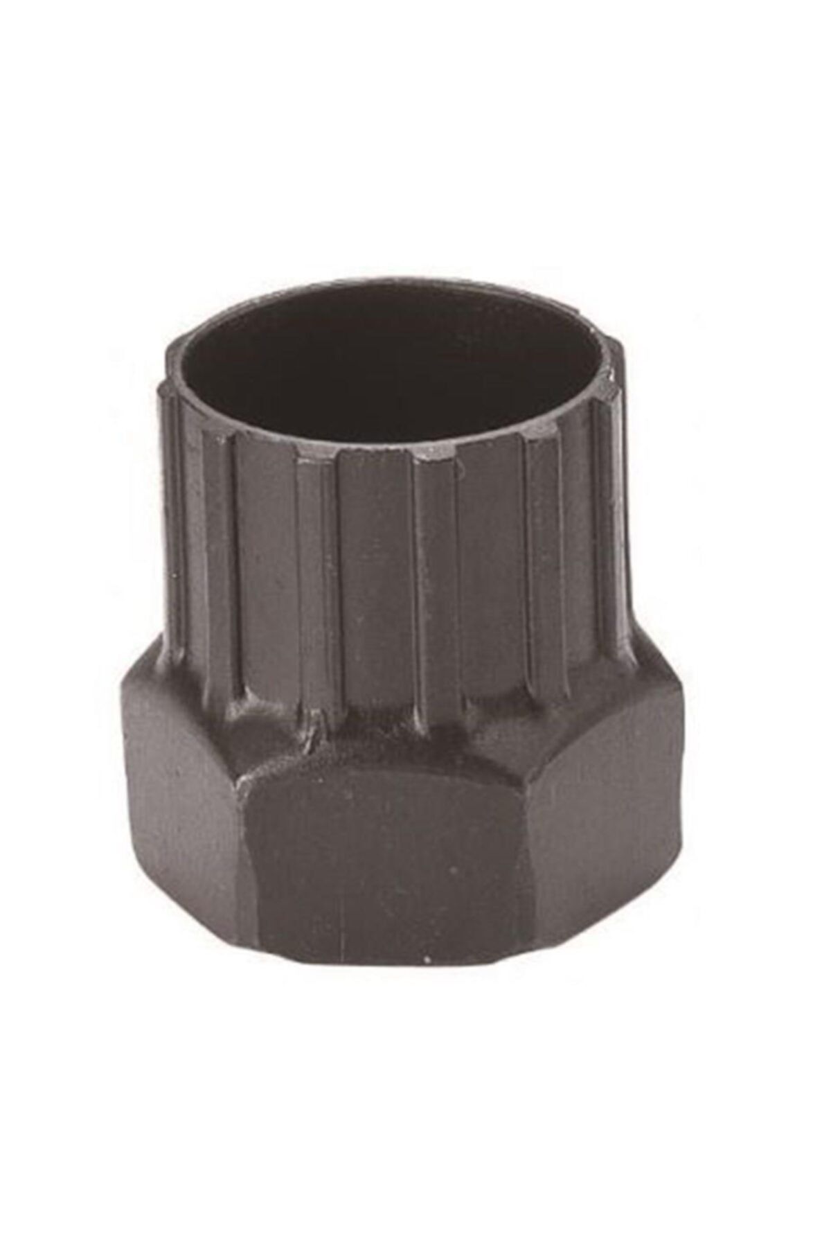 Ruble Sökücü Anahtar