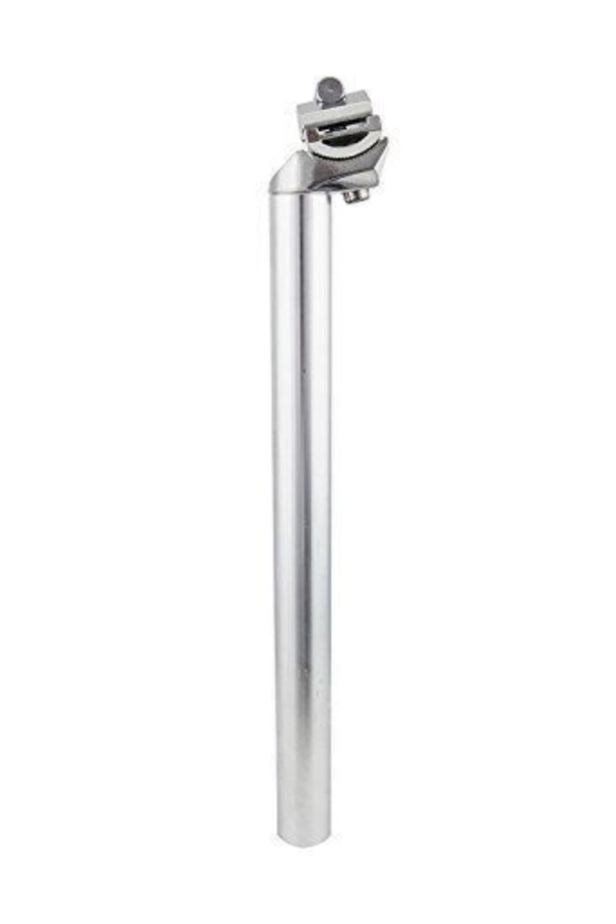 Sele Borusu 31.4 30cm Taiwan