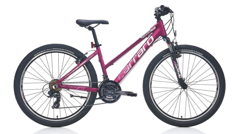 CARRARO FORCE 601 26 JANT 21 VİTES V FREN DAĞ BİSİKLETİ 38 KADRO MATKOYU YEŞİL AÇIK YEŞİL - PEMBE