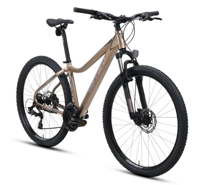 Carraro Speed 721- 27.5 Jant 41cm ( S - M ) Kadro Dağ Bisikleti - Bronz Kahve / Gümüş