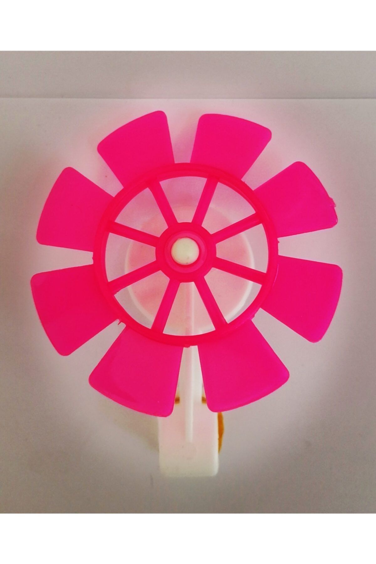 Pembe Rüzgar Gülü