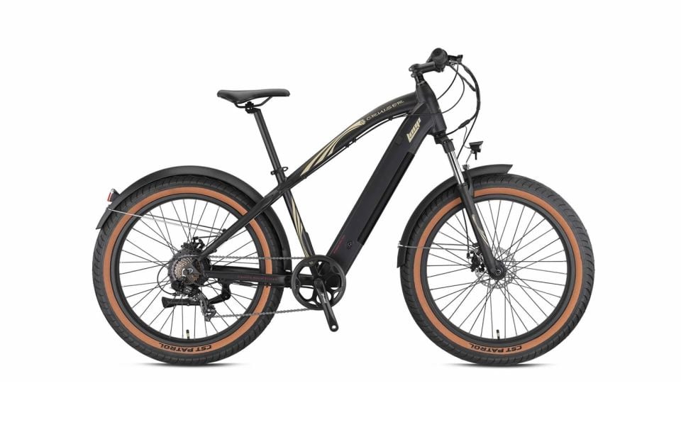 LOOP CRUISER 26 FAT E-BİS 250W 45NM TORK 15AH BATARYA 80KM MENZİL