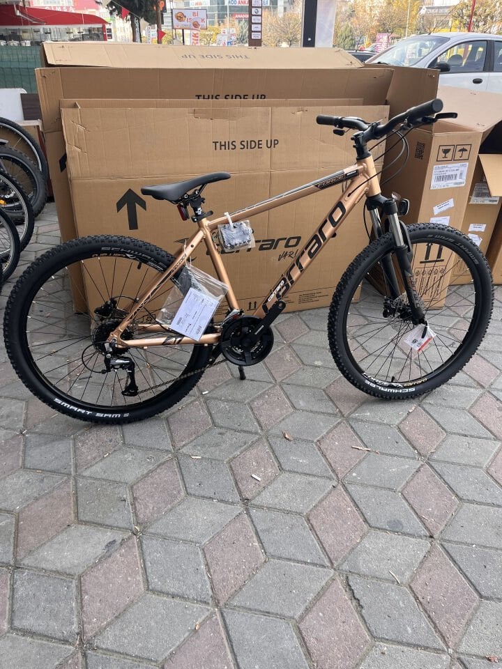 CARRARO FORCE 650 26 JANT DAĞ BİSİKLETİ 381H 24-V HD BRONZ-SİYAH- BEYAZ