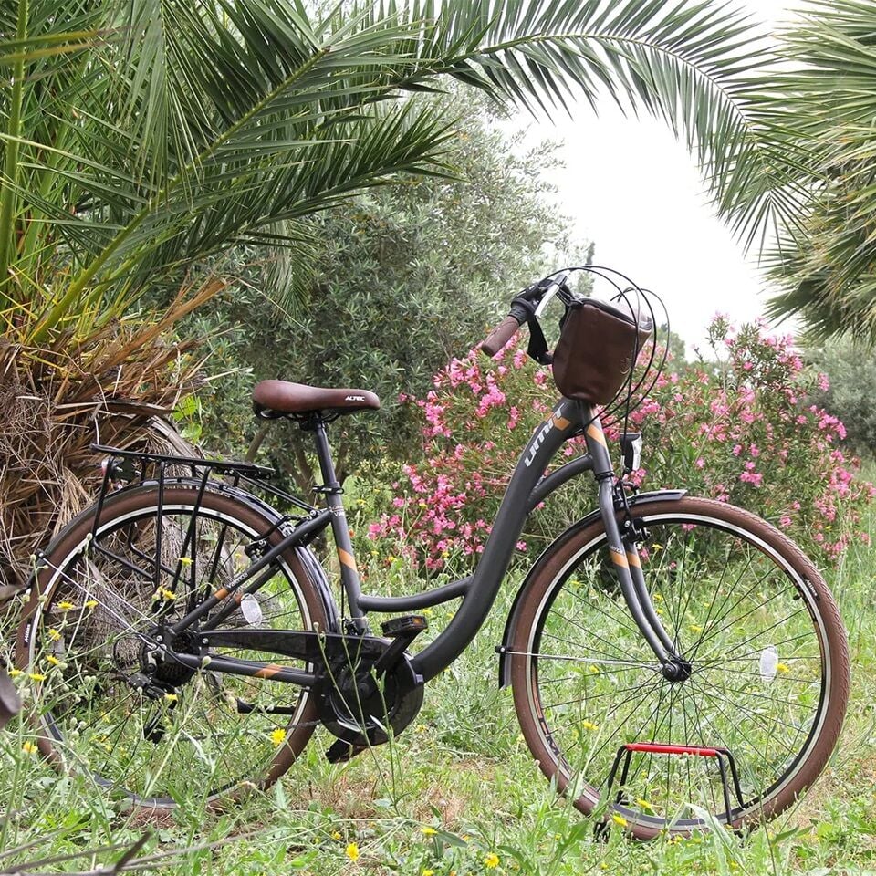 Ümit Valencia L - 28 Jant 47cm (M) Kadro Şehir Bisikleti - Antrasit 2026